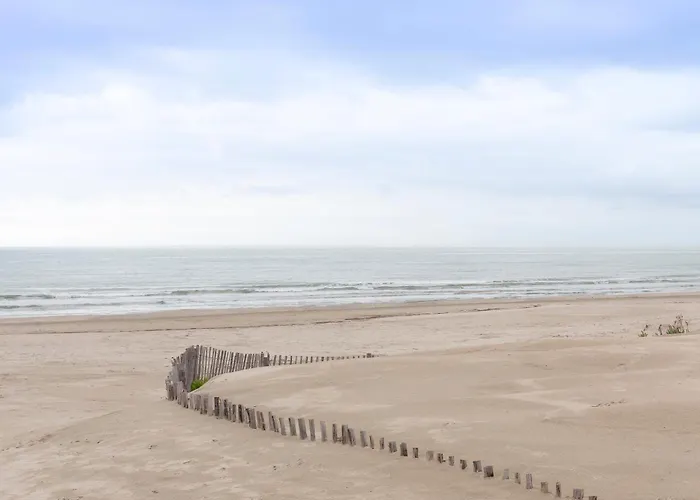 Chez édouard 362 - Superbe En Première Ligne De La * La Grande-Motte